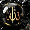 user3961226295248