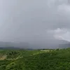muathu316