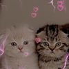 lisa_black106