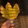 teamfaaiido