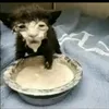 aaaaaaaaawoman