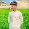 realansari3