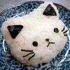 bolinho.de.arroz65