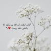 user8144909347795