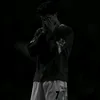 aya.alsheikhly