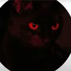 lxser._katxz