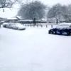 tpshydra