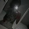 maria1237146