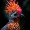 ai_flora_and_fauna