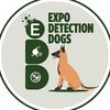 expo.detection.dog
