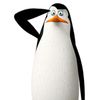 wiggle_wizard
