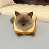 Cooked Toast