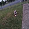chicka_541