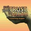 abdurashid8l