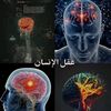 mashakel..33