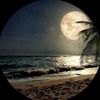 moonnight0345