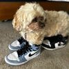 toby_coffman13