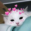 princesss2714__