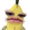 ddippaa_2