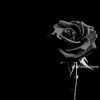 iqra_ahmed30
