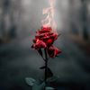 halima00118
