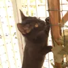 sono_esaurita07