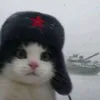 kylthegre4t