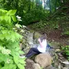 stella_makaryan