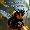 sergio.rosales98