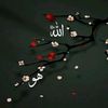 m.mastafa.badri