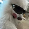 glamrock_nynx