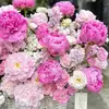 phuong_211010