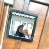 tsyshewzz_a