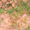 user90650612090676