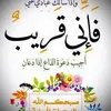 mohamad.amnou