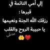 rasha.youssef85