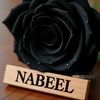 nabeelali1827