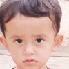 amir.jan790