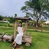 lily84034