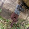 mnazimmojamiraanjababaze