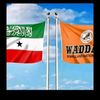muwaahib.abdirash22