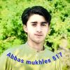 abbas.mukhlis517