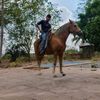 user80025707jose