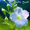 abdulqadeem1962