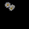 user7717162698171