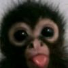 th3_monke