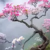 karima.brk8