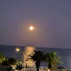 lunaluna43821