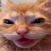 anis_azz0