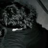 soyscreed_ar